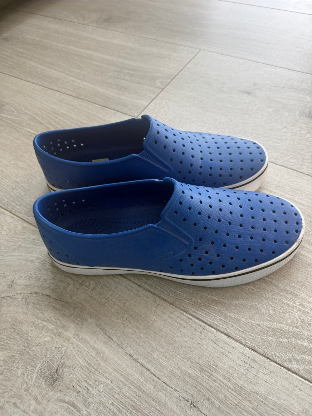 Native Men's Perforated Royal Blue Slip-On Loafers